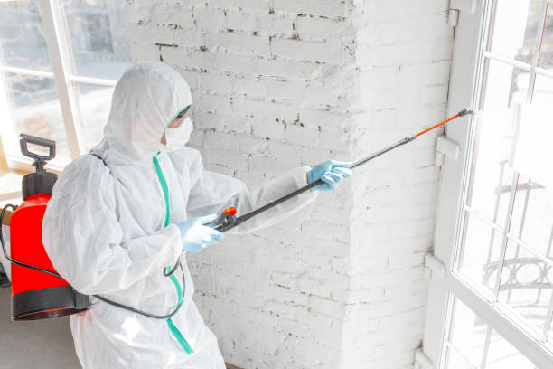 Asbestos and Lead Testing During Mold Inspection in Wichita Falls, TX